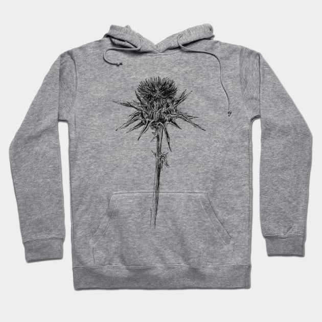 Milk thistle Hoodie by rachelsfinelines